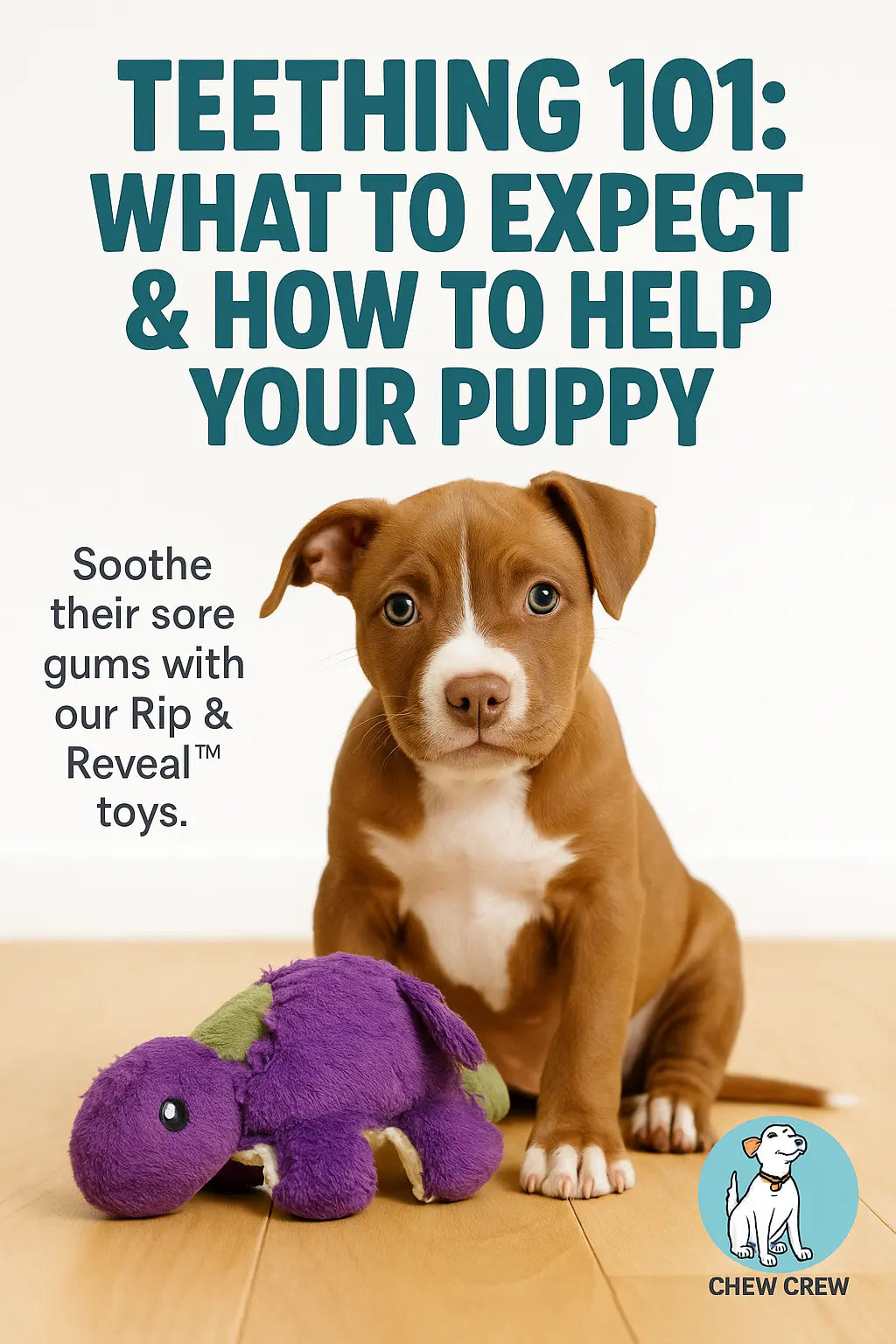Teething 101 - Chew Crew