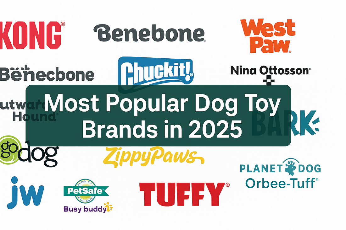 The Most Popular Dog Toy Brands (2025) — And Why Pet Parents Swear by Them