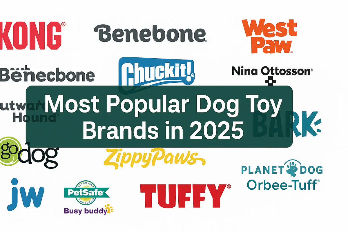 The Most Popular Dog Toy Brands (2025) — And Why Pet Parents Swear by Them - Chew Crew