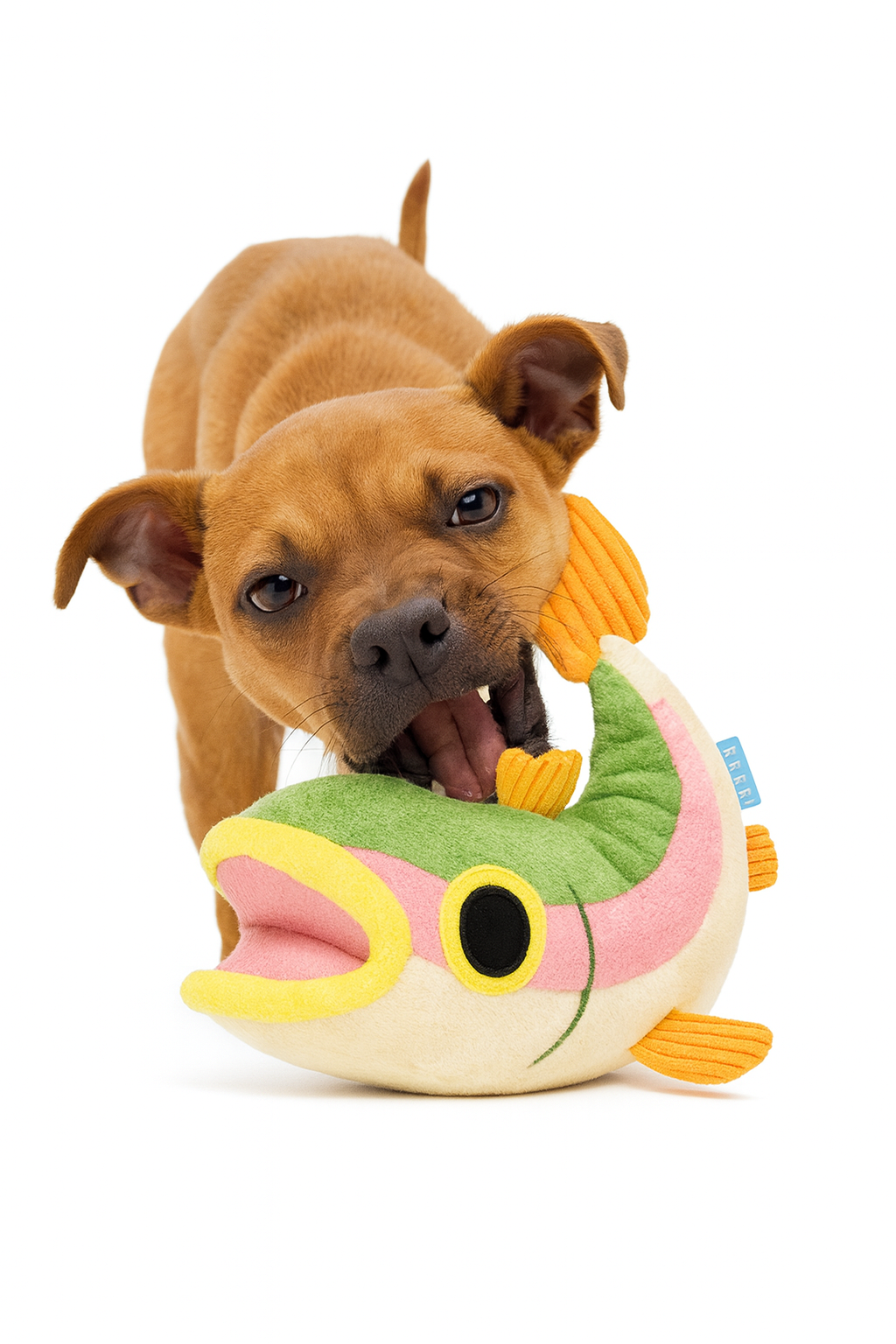 Bark Brooke Trout Plush Dog Toy — Soft Squeaky Plush Toy for Dogs