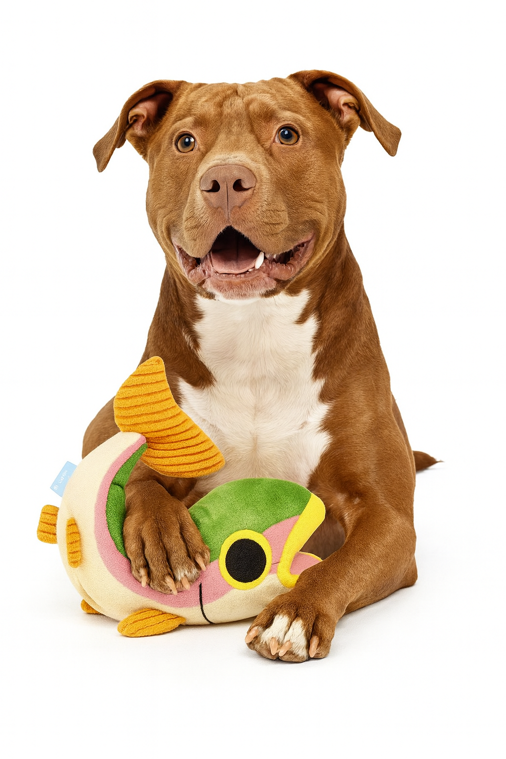 Bark Brooke Trout Plush Dog Toy — Soft Squeaky Plush Toy for Dogs