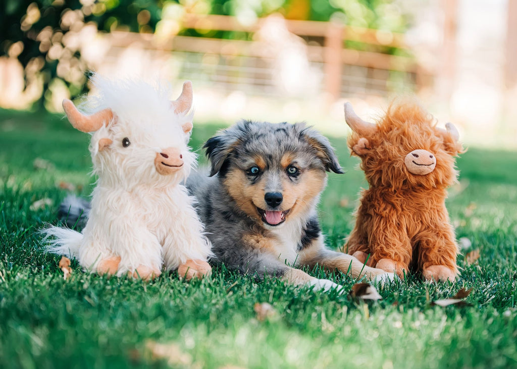 Multipet 8‑in. Highland Cow Dog Toy